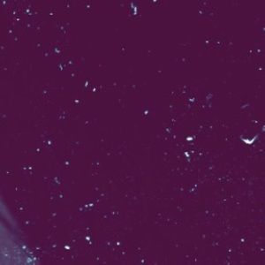 Meet your Posher, Addison